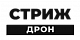 Стриж — дроны-перехватчики